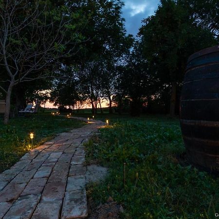 Pannonia Terranova Hotel Vardarac ภายนอก รูปภาพ