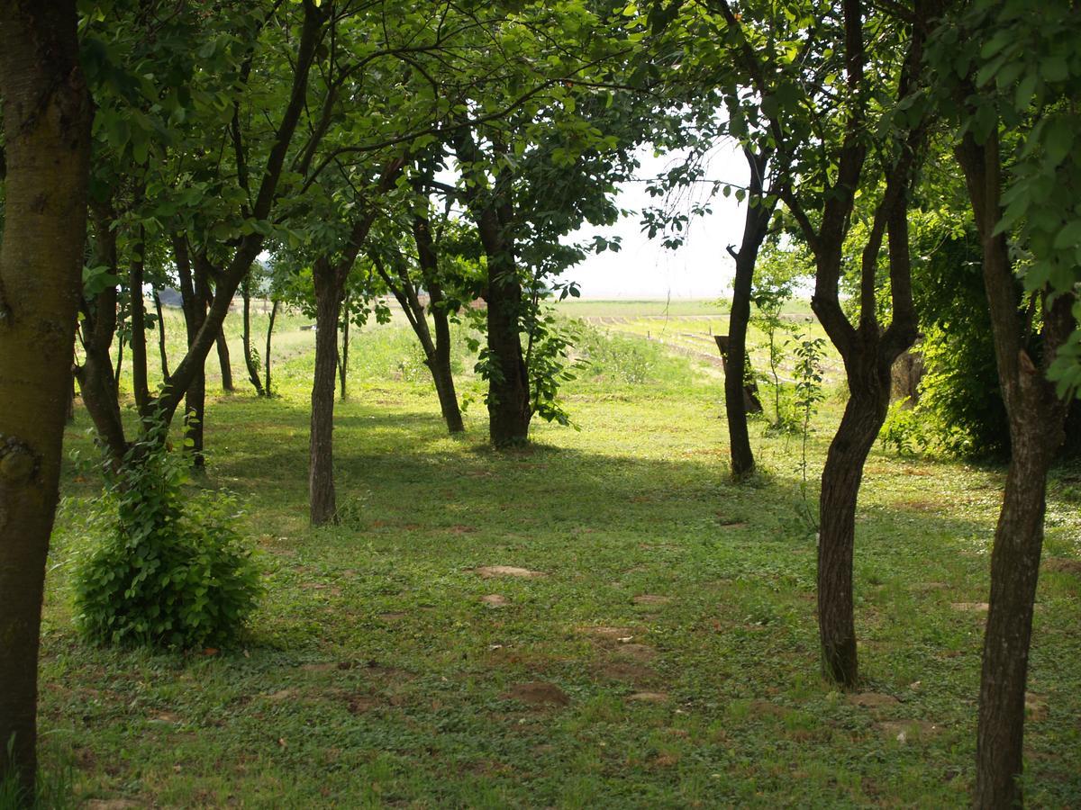 Pannonia Terranova Hotel Vardarac ภายนอก รูปภาพ