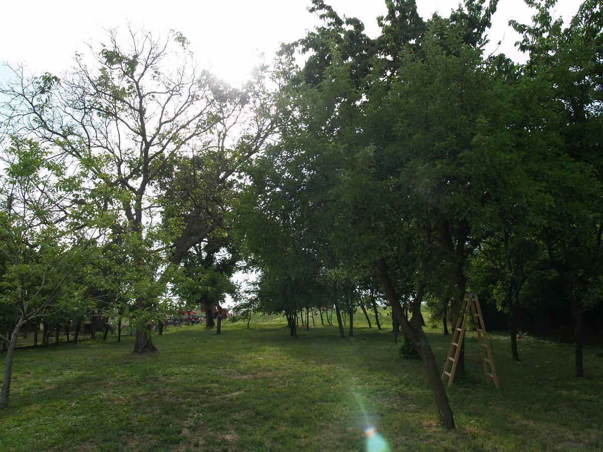 Pannonia Terranova Hotel Vardarac ภายนอก รูปภาพ